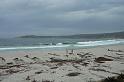 Carmel 10-30-08 243